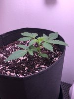 26.06.25 — копия.jpg