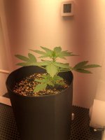 01.07.25 — копия.jpg