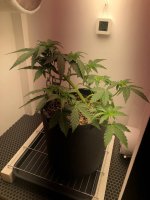 06.07.25 — копия.jpg