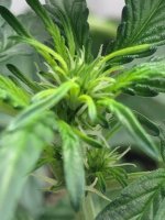 10.07.25 (3) — копия.jpg