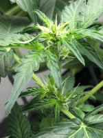 12.07.25 (3) — копия.jpg