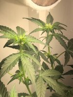 14.07.25 (4) — копия.jpg