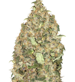 1755604223650.png 1755604223650.png