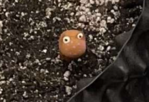 1755935488516.png 1755935488516.png