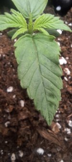 20250825_041606.jpg 20250825_041606.jpg