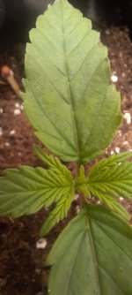 20250825_041620.jpg 20250825_041620.jpg