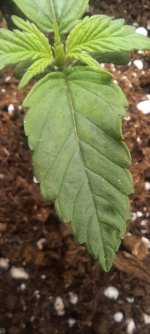 20250825_041627.jpg 20250825_041627.jpg