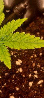 20250827_161446.jpg 20250827_161446.jpg