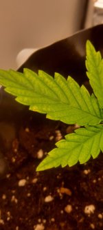 20250827_161432.jpg 20250827_161432.jpg