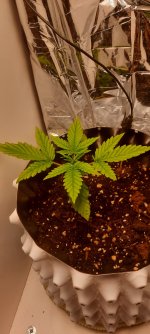 20250829_165945.jpg 20250829_165945.jpg