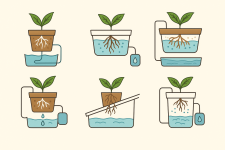 1756482873299.png 1756482873299.png