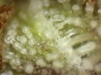 Photo_2025-08-31 07_53_18_824.png