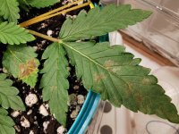 31.08 - 15 день.jpg