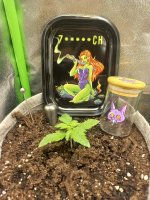 photo_2025-09-01_20-01-43.jpg photo_2025-09-01_20-01-43.jpg