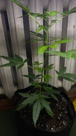 photo_2025-09-03 22.59.50.jpeg photo_2025-09-03 22.59.50.jpeg