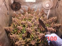 20250828_173124.jpg 20250828_173124.jpg