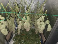 20250828_225337.jpg 20250828_225337.jpg