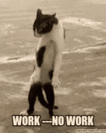 dont-work-no-work.gif dont-work-no-work.gif