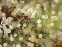 Photo_2025-09-10 06_37_31_047.png