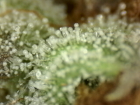 Photo_2025-09-10 06_40_40_699.png