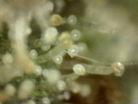 Photo_2025-09-10 06_45_09_837.png