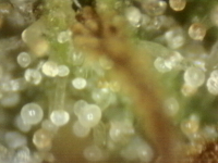 Photo_2025-09-10 06_50_11_270.png