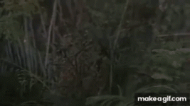 TVhRYk.gif TVhRYk.gif