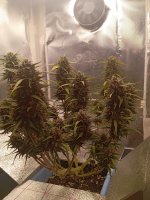 61 дн 2 месяца (1).jpg