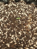 20250920_134849.jpg 20250920_134849.jpg