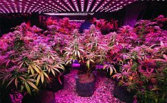 osveshchenie__HJlJpA2XT4ABLgw2.jpg osveshchenie__HJlJpA2XT4ABLgw2.jpg