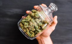 prolechka__pY6Vw1IRuyx72oPS.jpg prolechka__pY6Vw1IRuyx72oPS.jpg