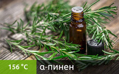 pinen__YiH3e83mgUhWDtAv.jpg pinen__YiH3e83mgUhWDtAv.jpg