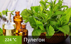 pulegon__4xON2abNvjEpkWJu.jpg pulegon__4xON2abNvjEpkWJu.jpg