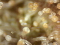 .trashed-1761189896-Photo_2025-09-20 17_17_28_094.png