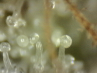 .trashed-1761189937-Photo_2025-09-20 17_14_14_680.png