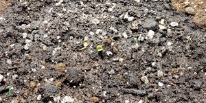 P50927-110605 (1)(1)(1).jpg