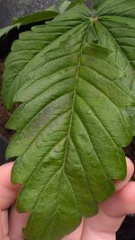 photo_2025-09-29_09-11-25 (3).jpg