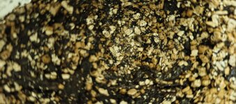 IMG_20250927_181454_438.jpg IMG_20250927_181454_438.jpg