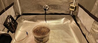 IMG_20250929_090457_644.jpg IMG_20250929_090457_644.jpg