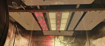 IMG_20250929_090500_831.jpg IMG_20250929_090500_831.jpg