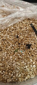 IMG_20250930_094433_475.jpg IMG_20250930_094433_475.jpg