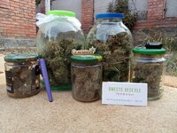 Вверх, к звёздам!