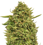 1759746110924.png 1759746110924.png