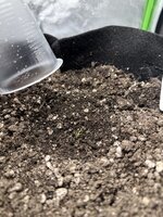 IMG_3437.jpeg IMG_3437.jpeg