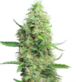 1760003805998.png 1760003805998.png