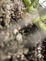 IMG_0841.jpeg IMG_0841.jpeg