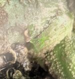 IMG_0845.jpeg IMG_0845.jpeg