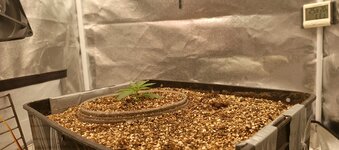 IMG_20251011_104925_435.jpg IMG_20251011_104925_435.jpg