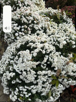 IMG_0878.jpeg IMG_0878.jpeg