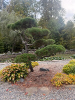 IMG_0891.jpeg IMG_0891.jpeg